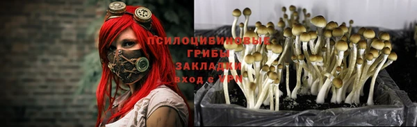 ECSTASY Киренск