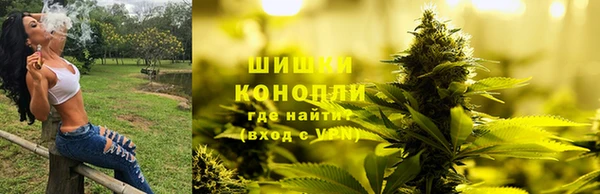 трава Кинешма