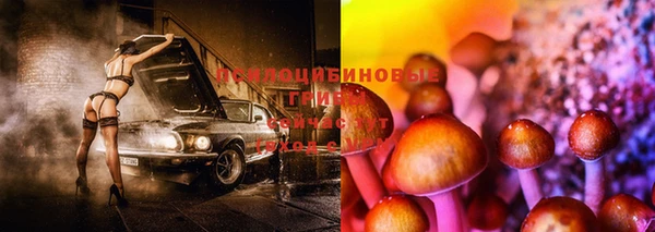 трава Кинешма